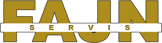 Logo Fajn servis